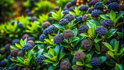 Dark Green Flowers on Lush Bushes - Close-Up Nature Photography