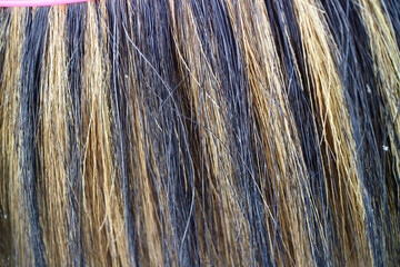 Texture of coconut fiber broom with yellow black color