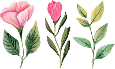 pink and green leaves