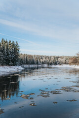 A winter landscape with a river with ice floes and a clear blue sky with snow-covered trees.