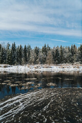 A winter landscape with a river with ice floes and a clear blue sky with snow-covered trees.