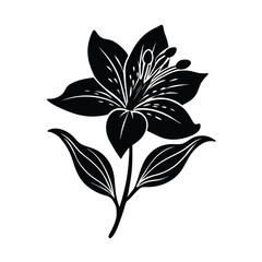 vector black and white flower
