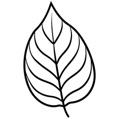 Leaf on white background