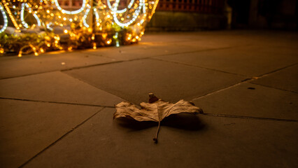 Dried leaf on London street 3