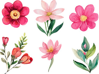 collection of flowers