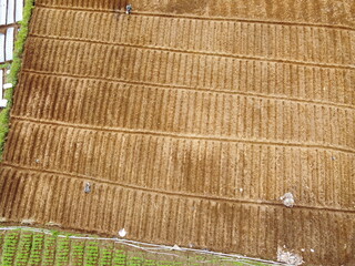 VEGETABLE GARDEN EXPANSION IN THE HIGHLANDS AT THE FOOT OF MOUNT SLAMET, PANDAN SARI VILLAGE, PAGUYANGAN, BREBES, INDONESIA