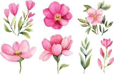 Botanical Watercolor Spring Flowers Clipart