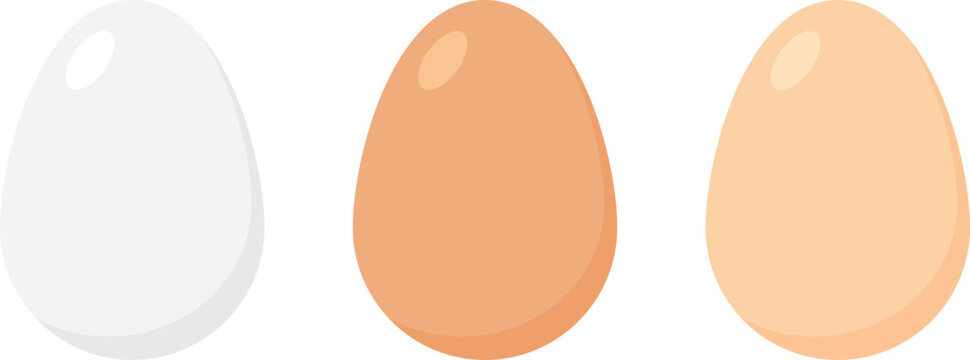Set of chicken eggs in white, brown and light brown colors. Vector illustration with transparent background.