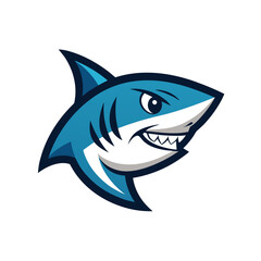 shark isolated on white