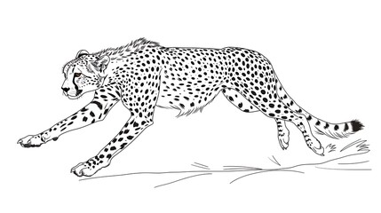 Naklejka premium crouching cheetah outline mid-sprint