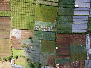 Fototapeta premium VEGETABLE GARDEN EXPANSION IN THE HIGHLANDS AT THE FOOT OF MOUNT SLAMET, PANDAN SARI VILLAGE, PAGUYANGAN, BREBES, INDONESIA