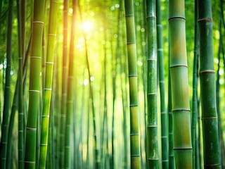 Tranquil bamboo forest: minimalist photography capturing swaying green stalks and peaceful harmony.