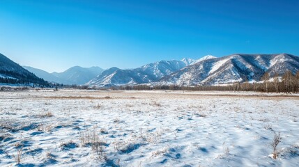 Snowy mountain landscape under a clear blue sky.