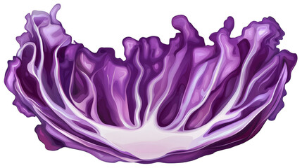 Obraz premium slice red cabbage vegetable isolated on white transparent background