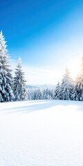 Obraz premium Serene Winter Landscape Showcasing Frost Covered Trees Under a Bright Blue Sky Illuminated by a Gentle Winter Sun Creating a Tranquil Atmosphere