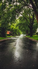 Fototapeta premium Rain is falling on a suburban street lined with lush green trees, creating a serene and picturesque scene with glistening asphalt and reflections