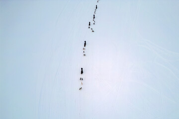 Sled dog lapland winter aerial Inari Nellim frozen lakes and forest landscape panorama