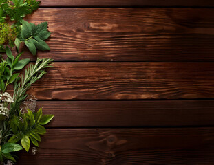 Generated image　様々なハーブ