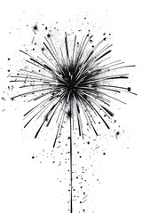 Fototapeta premium new year fireworks outline