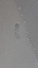 footprint in wet sand on the beach, sand and water, human footprint on the beach