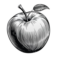 Apple food vector with white background