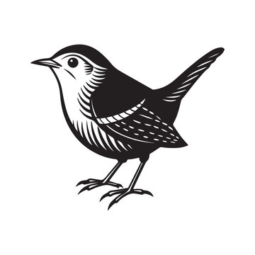 wren bird silhouette, black and white silhouette, vector and illustration