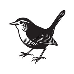 wren bird silhouette, black and white silhouette, vector and illustration