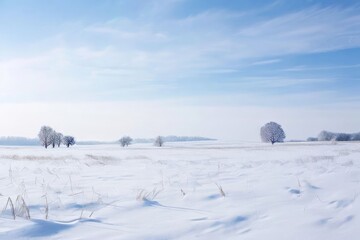 snowy field a wide open field covered in snow with a few trees d