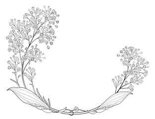 Oval frame with outline Gypsophila or Baby's breath flower in black isolated on white background. 