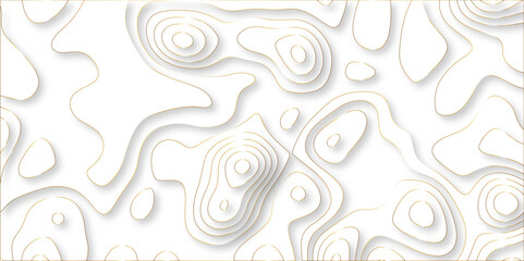 Abstract wavy line 3d paper cut white background with shadows. Abstract realistic papercut decoration textured with wavy layers. Topographic contour lines vector map seamless pattern vector.