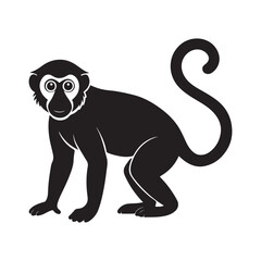 monkey silhouette, black and white silhouette, vector and illustration