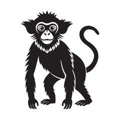 monkey silhouette, black and white silhouette, vector and illustration