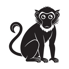 monkey silhouette, black and white silhouette, vector and illustration