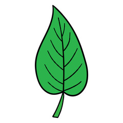 Hand drawn cartoon green leaf on white background.