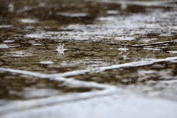 closeup of raindrops falling into a puddle and splashing a crown