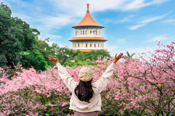 Young female tourist relaxing and enjoying the beautiful cherry blossom at Wuji Tianyuan temple in Taiwan