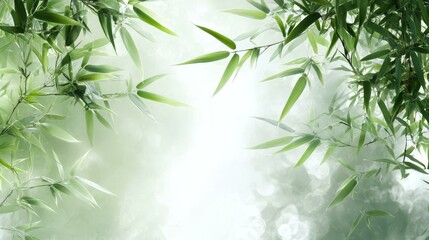 Fototapeta premium Misty Bamboo Leaves Background Image