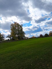 Fototapeta premium Green Field and Blue Sky