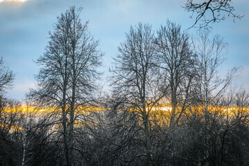 Bare winter trees create intricate silhouettes as the golden light of a sunset glows through their branches. A serene and picturesque winter evening scene.