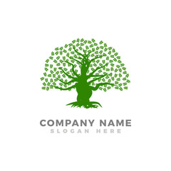 Obraz premium Oak tree logo design template