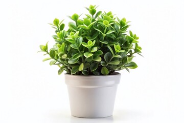 Fototapeta premium Lush Green & White Artificial Plant in Pot - Isolated White Background Stock Photo