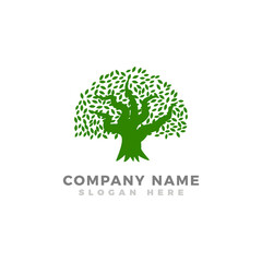 Oak tree logo design template