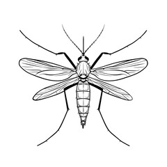 mosquito outline with wings spread