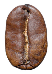 Close-up macro of brown roasted coffee bean with details cut out isolated on transparent png background