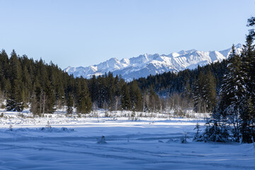 Winterlandschaft, Pinzgau, Zell am See, Pass Thurm