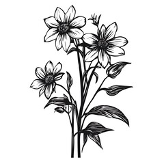 Three sketched flowers on stems with leaves.
