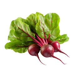 Several ripe beets with leaves vegetables on transparent background
