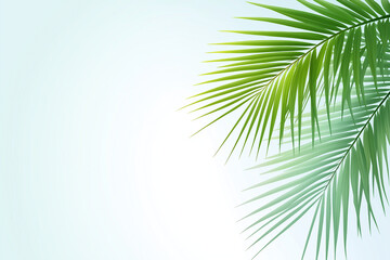 Vector green tropical background with palm leaves for decoration, covers, backgrounds, wallpapers