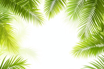 Fototapeta premium Vector green tropical background with palm leaves for decoration, covers, backgrounds, wallpapers