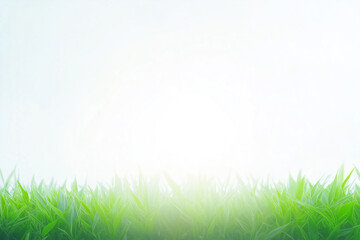 Obraz premium A clean bright background with the glare of sunlight providing copy space with fresh grass on the bottom.